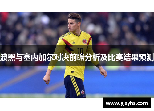 波黑与塞内加尔对决前瞻分析及比赛结果预测